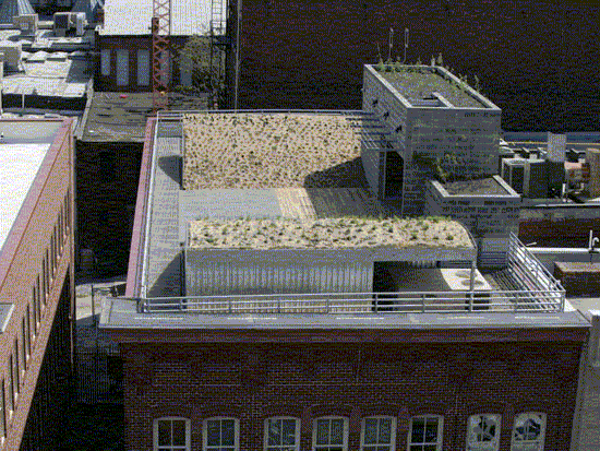 Eco Friendly Architectural Design Green Roof for American Society Top View